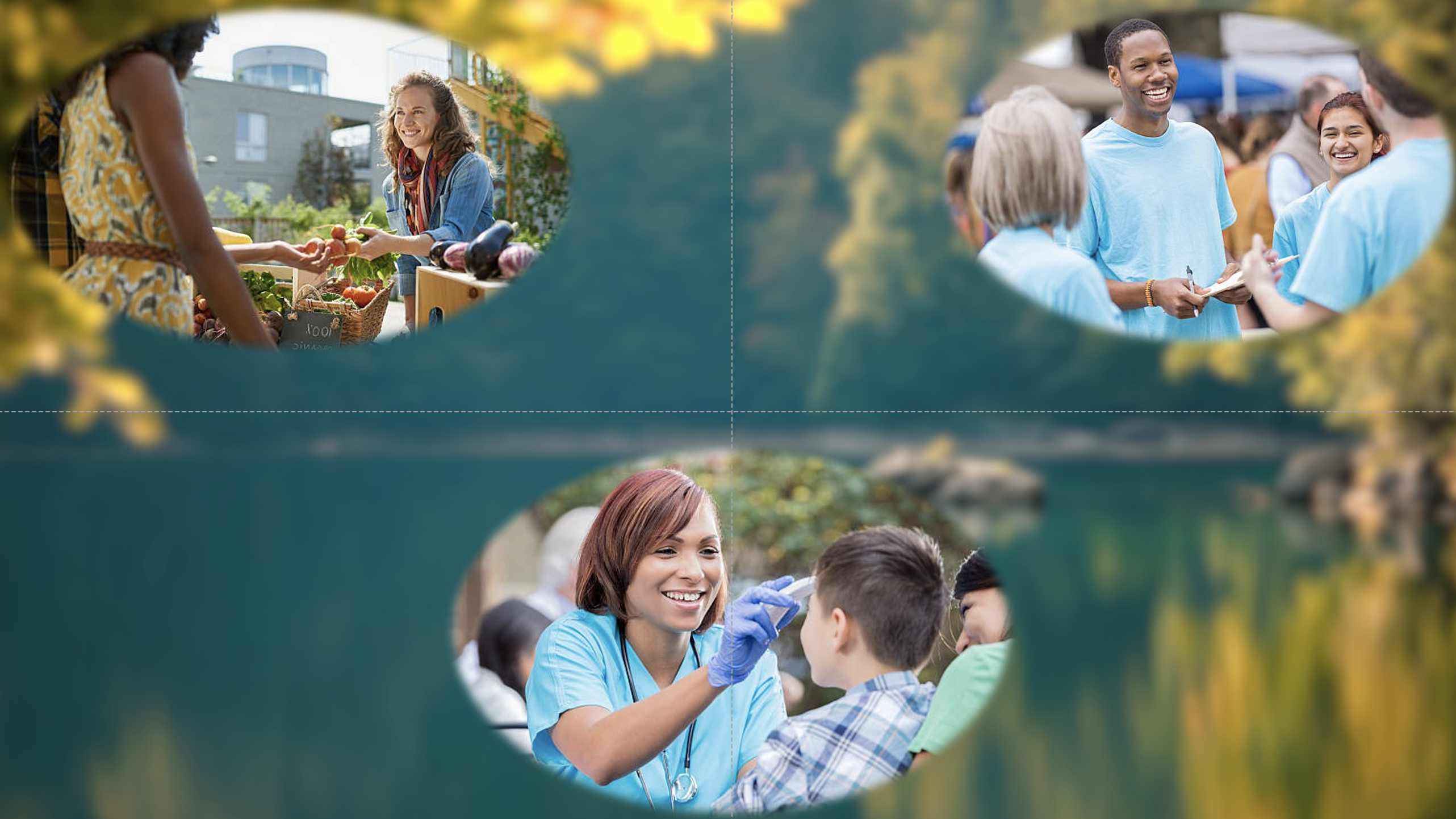 HELD 110: Principles of Public Health
